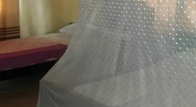 Номер Standard Palace Motel