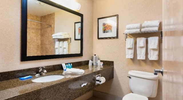 Номер Standard Country Inn & Suites by Radisson, South Haven, MI