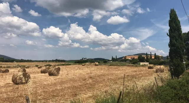 Апартаменты с 2 комнатами Agriturismo Colle d Oro