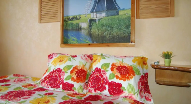Номер Standard Bed and Breakfast Tulip Gallery
