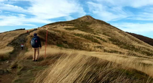 Апартаменты Baza w Bieszczady