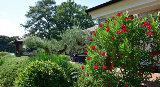 Вилла Villa Birds House Rovinj