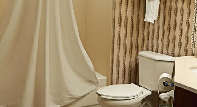 Четырёхместный номер Standard Hampton Inn & Suites Scottsburg