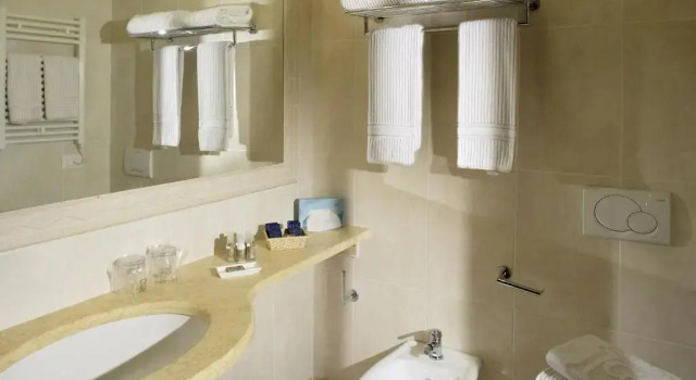 Standard Single room Giotto Hotel & Spa