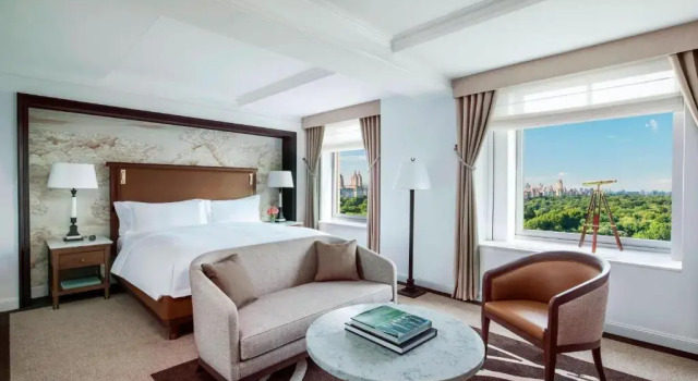 Двухместный номер Grand с видом на парк The Ritz-Carlton New York, Central Park