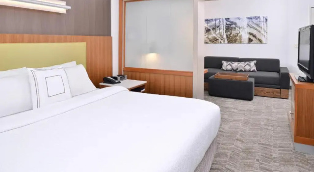 Люкс SpringHill Suites Ashburn Dulles North
