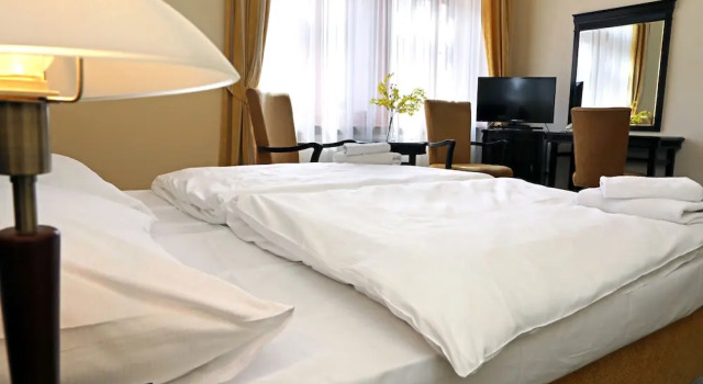 Двухместный номер Superior Hotel U Zeleneho stromu