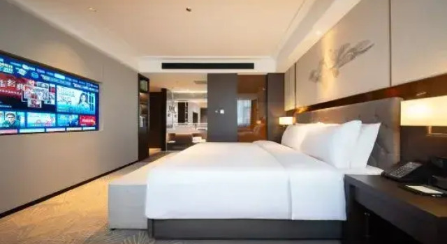 Люкс Executive Giorgio Morandi Hotel (Urumqi South Railway Station, Hetian Second Street Branch)