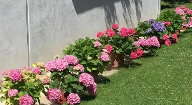 Villa iacca, Réserver Villa Villas à Aragon, Villa