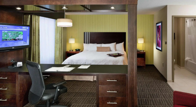 Двухместный люкс Hampton Inn & Suites Saginaw