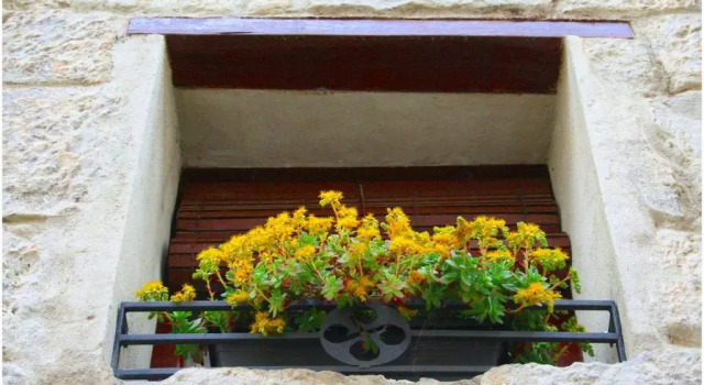Коттедж Casa Rural Xixa Landetxea