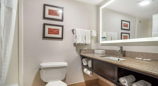 Четырёхместный номер Standard Comfort Inn & Suites Lake Norman