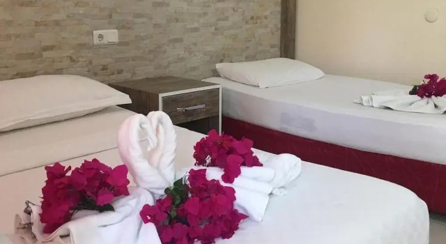 Номер Standard Livane Beach Hotel