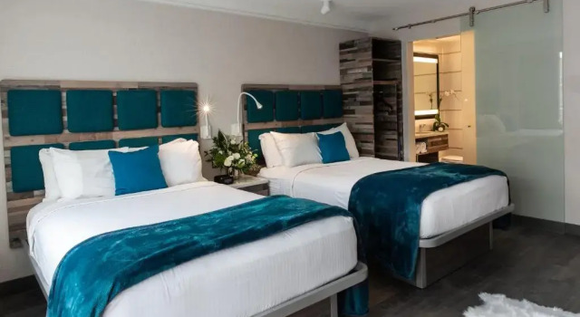 Четырёхместный номер Standard Hotel Le Bleu
