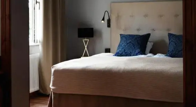 Полулюкс Home Hotel Smedjan