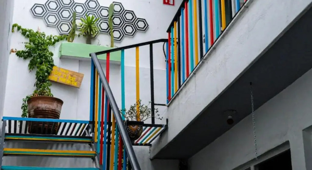 Кровать в общем номере Monkey Safari Hostel