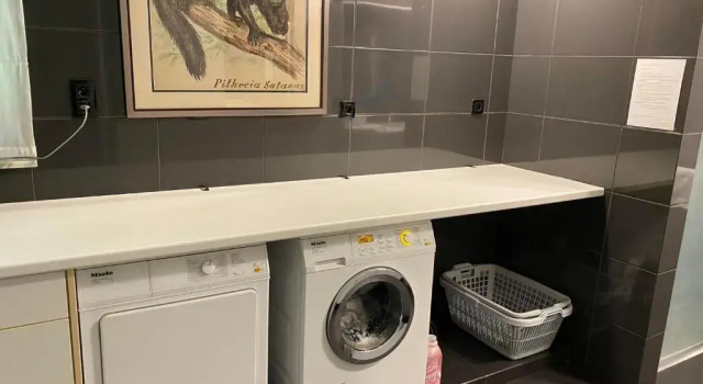 Коттедж Vakantiewoning Het Wielje Maasland