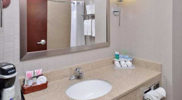 Четырёхместный номер Standard Holiday Inn Express Hotel & Suites Lafayette by IHG