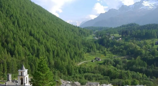 Residence Larice Bianco, Boek Hotel Campodolcino Valchiavenna
