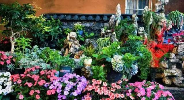 Puzhehei Qingyaxuan Homestay, Book Hotel Puzhehei Yunnan