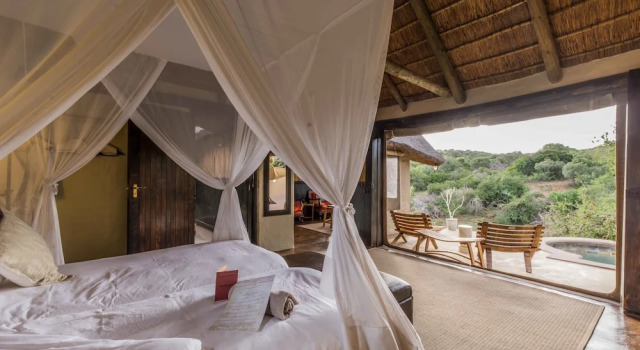 Номер Standard Safari Lodge - Amakhala Game Reserve