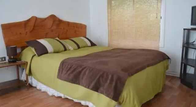 Pingüino en la roca - Concón, Buchen Sie Hotel Concon Valparaiso