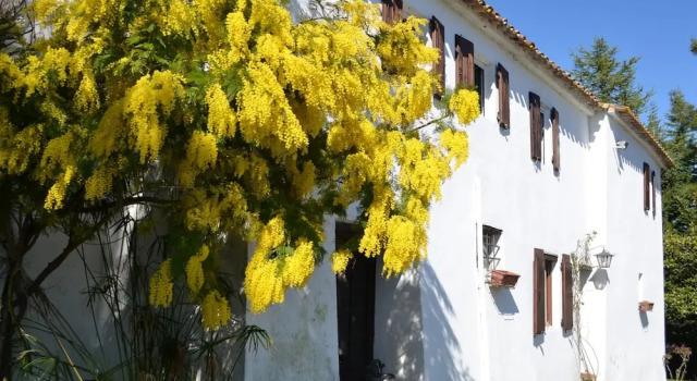 Cottage in Montefiore Near Forest and Beach, Book Feriehus Villaer i Montefiore Conca, Villa