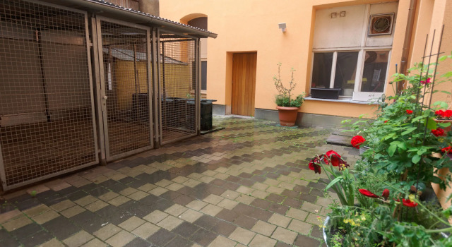 PrivatHotel Probst