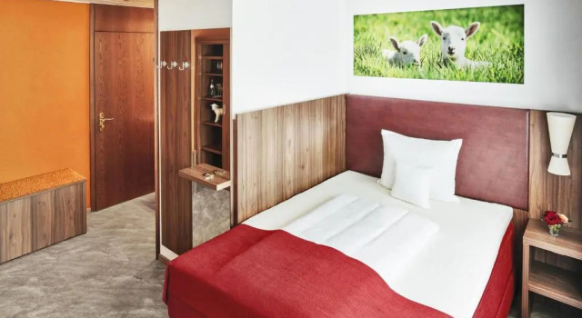 Одноместный номер Comfort Hotel Lamm