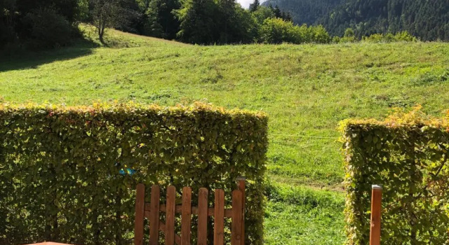Апартаменты Appartement 2 pièces pieds des pistes terrasse face à la montagne