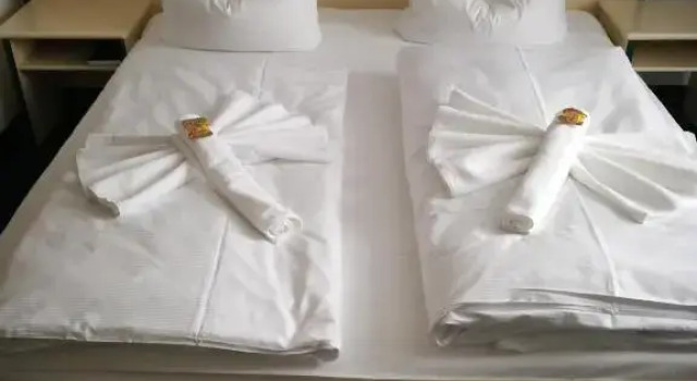Номер Economy Hotel 3 Linden