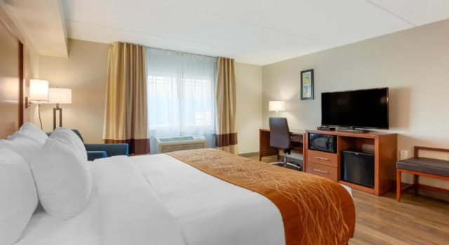 Номер Standard Comfort Inn & Suites Milford