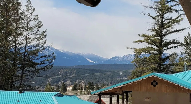 Номер Economy Celadon Lodge