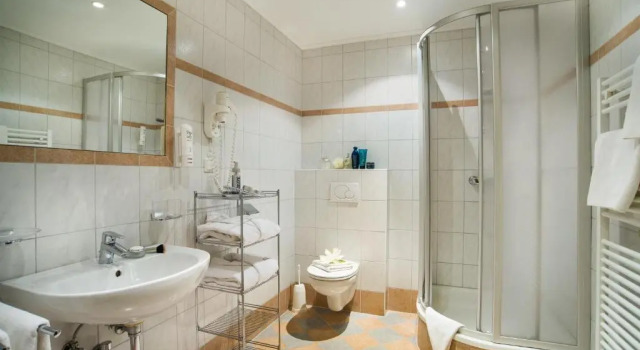 Семейный номер Standard Landhotel Steindlwirt