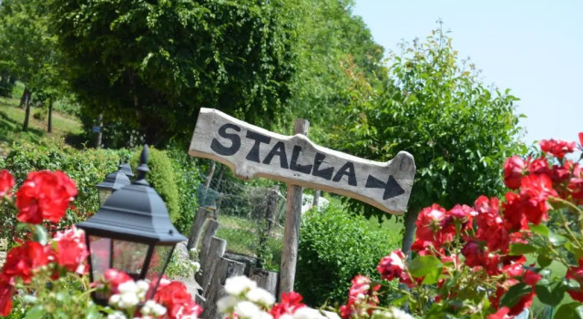Номер Standard Agriturismo dellAltopiano