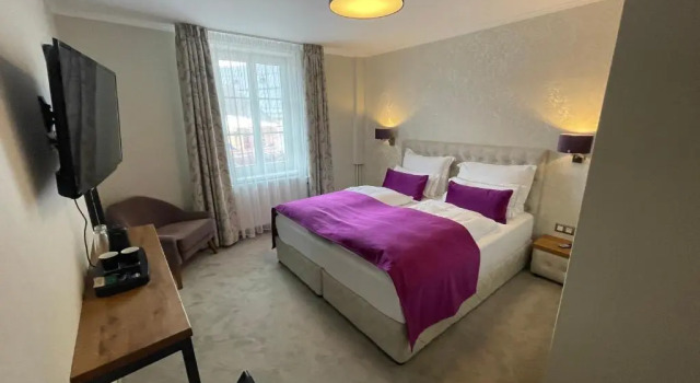 Номер Standard Hotel Radetzky