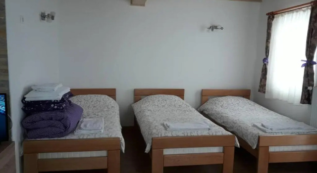 Студия Apartments Panovic