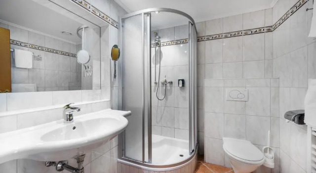 Одноместный номер Standard Hotel PALACE