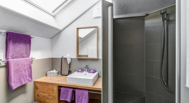 Двухместный номер Standard Hotel Landgasthof Eischen