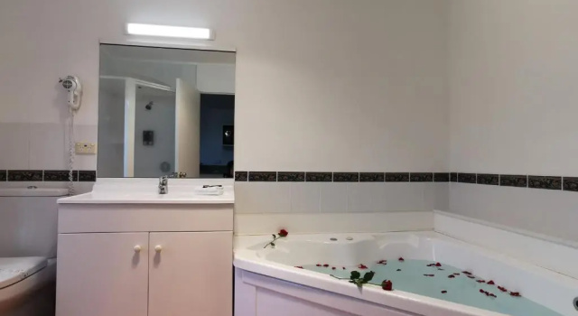 Студия Great Lake Motel Taupo