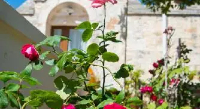 Giardino Segreto, Book Hotel Hoteller i Putignano med morgenmad, Morgenmad