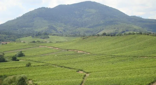 Anselm, Забронировать Апартаменты/квартира Отели Alsace Wine Route с парковкой, Парковка