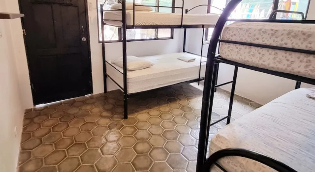 Четырёхместный номер Standard c 1 комнатой Casa Pura Vida Surf Hostel - Tamarindo Costa Rica