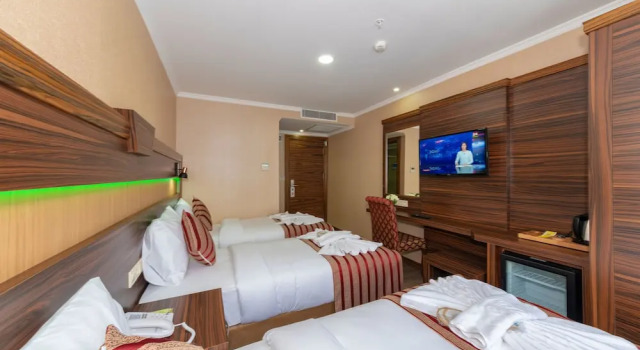 Трёхместный номер Standard Vision Deluxe Hotel