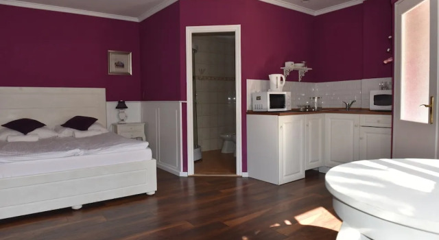 Студия Guest House Romantika Panzio
