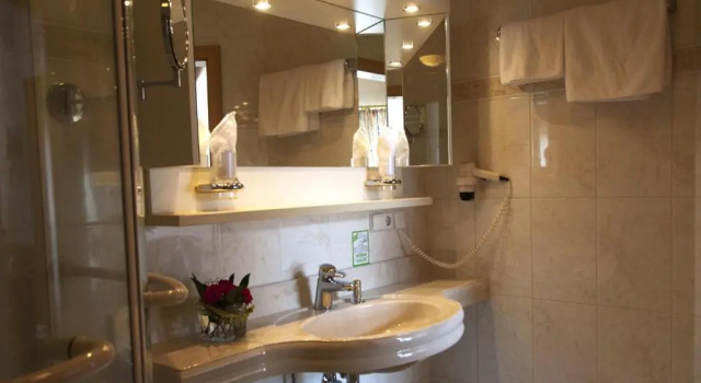 Одноместный номер Standard Hotel-Restaurant Hirsch