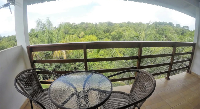Четырёхместный номер Deluxe с балконом Amazônia ParkSuítes