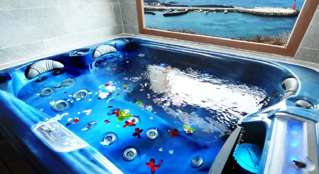 Люкс jeju seanhill spa pension