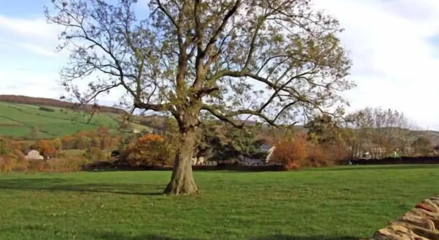 Коттедж Stoneycroft Barn