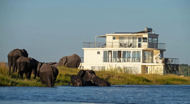 Chobe Princesses By Mantis